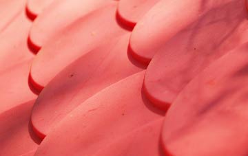 Moats Tye plastic roof costs